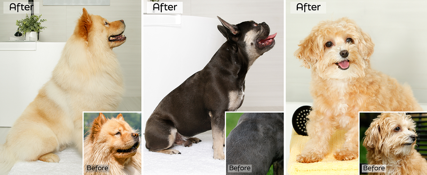 Hartz True Coat natural dog shampoo. See the before and after difference!