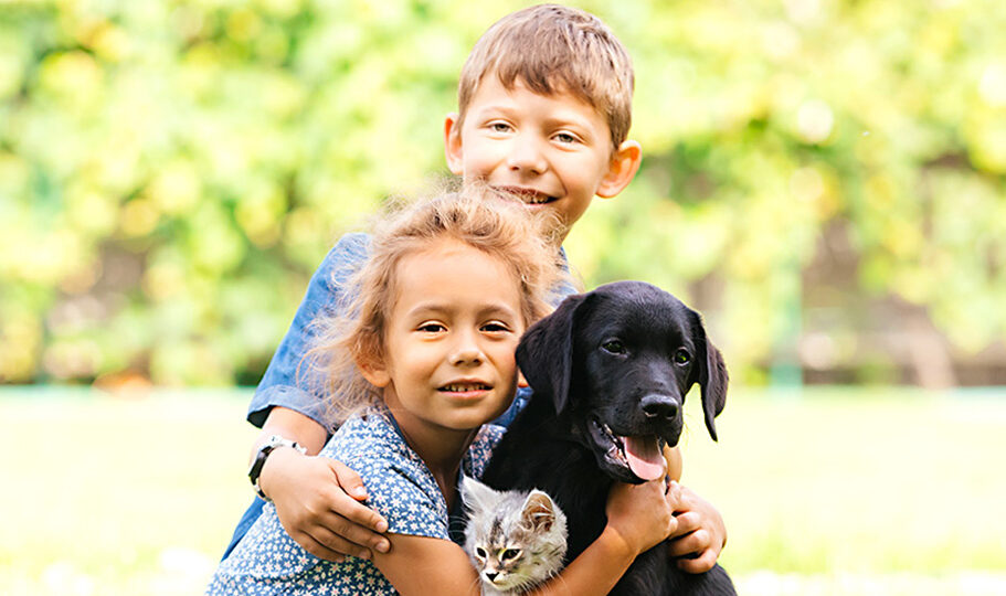 Cat Products & Information on Caring for Your Feline