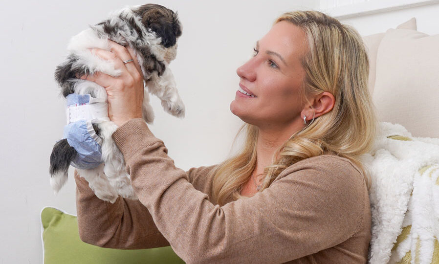 Hartz Comfitables pet diapers offer strong protection.