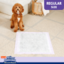Hartz® Home Protection™ Miracle Guard™ Lavender Scented Extra Absorbent Dog Pads 50 count regular size