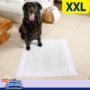 Hartz® Home Protection™ Miracle Guard™ Lavender Scented Extra Absorbent Dog Pads XXL