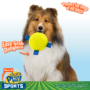 Hartz Dura Play Sports Dog Toy Easy Grab Danglers