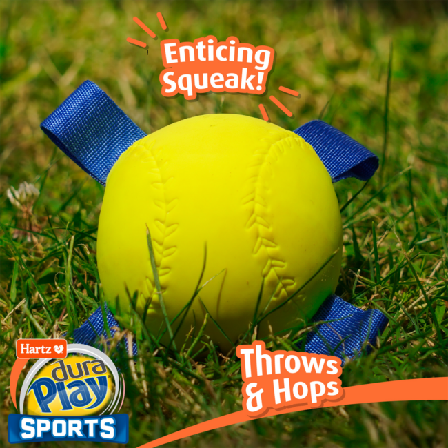 Hartz® Dura Play® Sports Enticing Squeak
