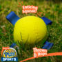 Hartz® Dura Play® Sports Enticing Squeak