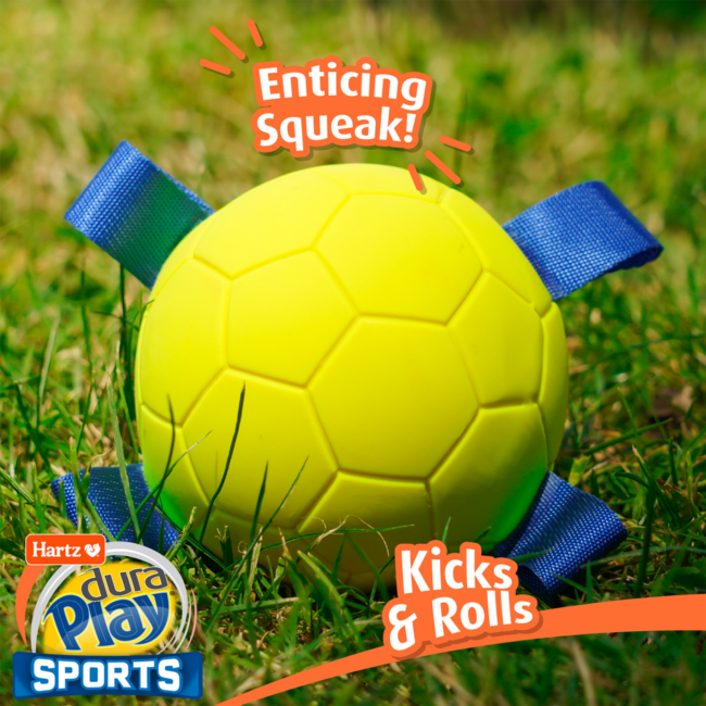 Hartz Dura Play Sports Dog Toy Enticing Squeak