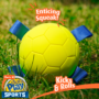 Hartz Dura Play Sports Dog Toy Enticing Squeak
