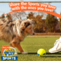 Hartz Dura Play Sports Dog Toy Share the Sports You Love with the Ones You Love