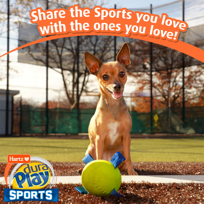 Hartz® Dura Play® Sports Share the Sports You Love with the Ones You Love