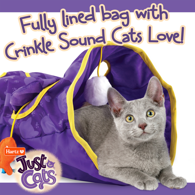 JFC Crinkler Fully Lined Bag with Crinkle Sound
