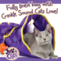 JFC Crinkler Fully Lined Bag with Crinkle Sound