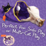 JFC Crinkler Perfect for Solo or Multi-Cat Play