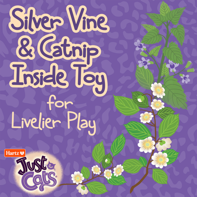 JFC Crinkler Silver Vine & Catnip Inside Toy