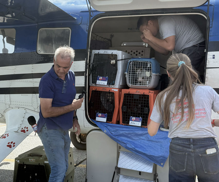 Hartz Loving Paws and Pilots to the Rescue work at transporting pets in need.