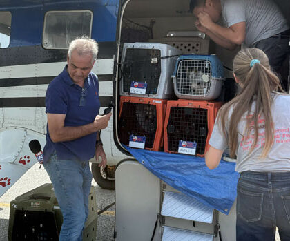 Hartz Loving Paws and Pilots to the Rescue work at transporting pets in need.