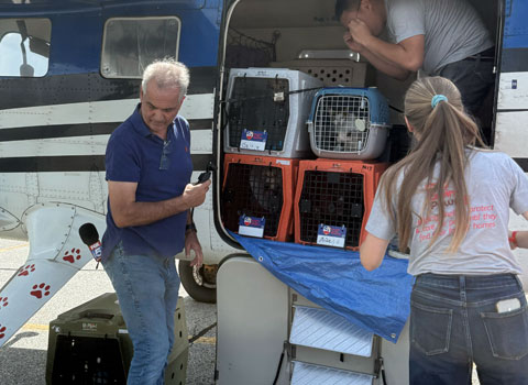 Hartz Loving Paws and Pilots to the Rescue work at transporting pets in need.