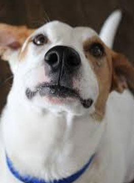 Become a member of the Hartz insiders program today.