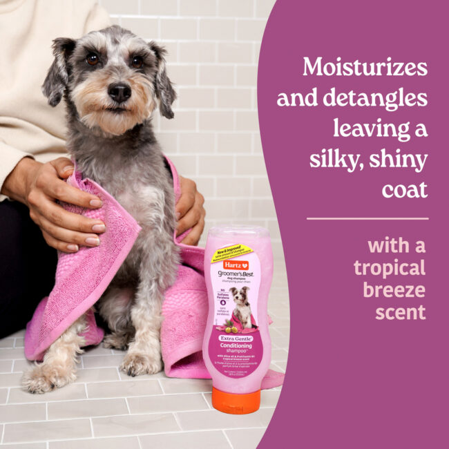 Hartz Groomers Best detangling shampoo for pets.
