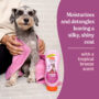 Hartz Groomers Best detangling shampoo for pets.
