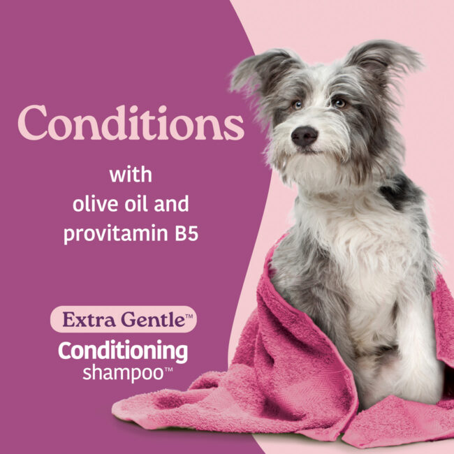 Hartz Groomers Best detangling shampoo for pets.