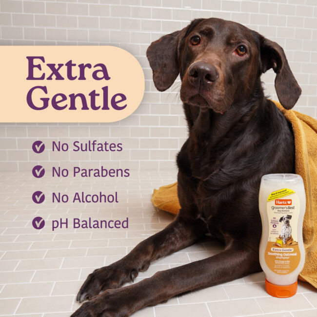 Groomers Best gentle soothing oatmeal shampoo.