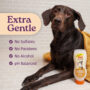 Groomers Best gentle soothing oatmeal shampoo.
