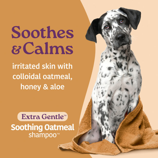 Hartz Groomers Best soothing oatmeal shampoo for pets.