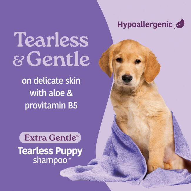 Groomer's Best tearless & gentle dog shampoo.
