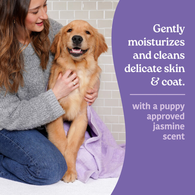 Hartz Groomers best tearless puppy shampoo.