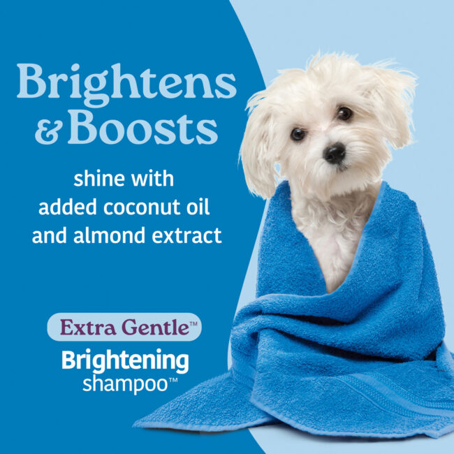 Groomers Best gentle brightening shampoo for dogs.