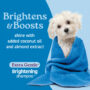 Groomers Best gentle brightening shampoo for dogs.