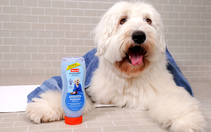 Hartz groomers best brightening shampoo for dogs.