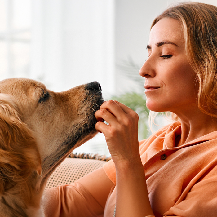 hartz dog chews, dog treats