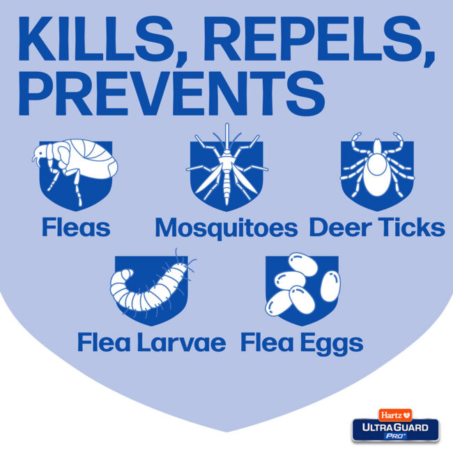 Flea and tick drops kills fleas, flea larvae and deer ticks