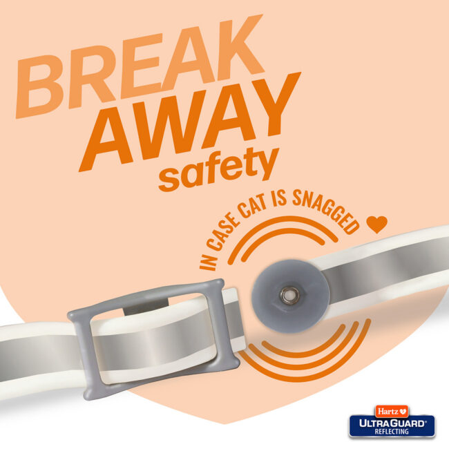 cat flea & tick collar, break away safety