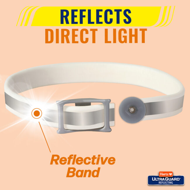Flea collar reflects direct light