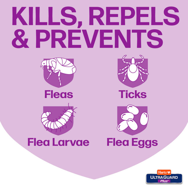 Cat flea treatment that kills, repels & prevents fleas, ticks, flea larve, flea eggs