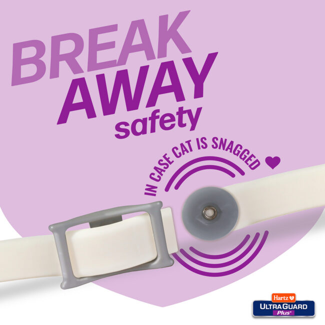 Break away safety