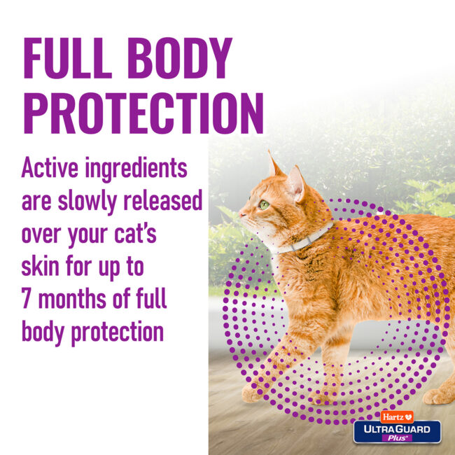 Hartz Ultraguard Full body cat flea treatment protection for cats