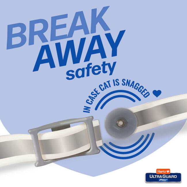 Break away safety ultraguard collar