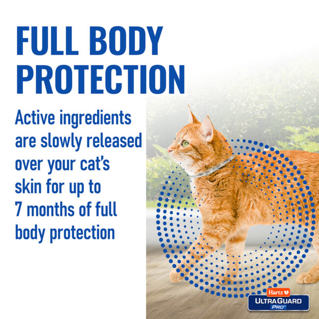 Best cats full body protection flea collar