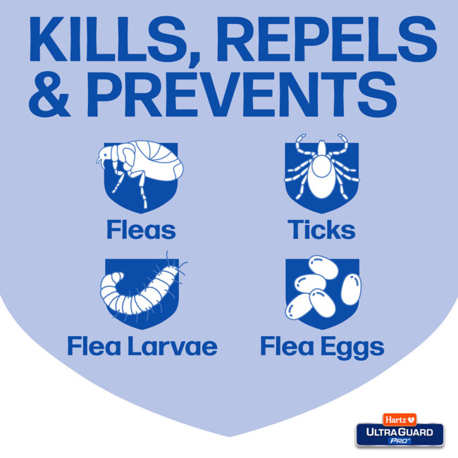 Best flea and tick collar for cats kills, repels, & prevents fleas, ticks and flea larvae