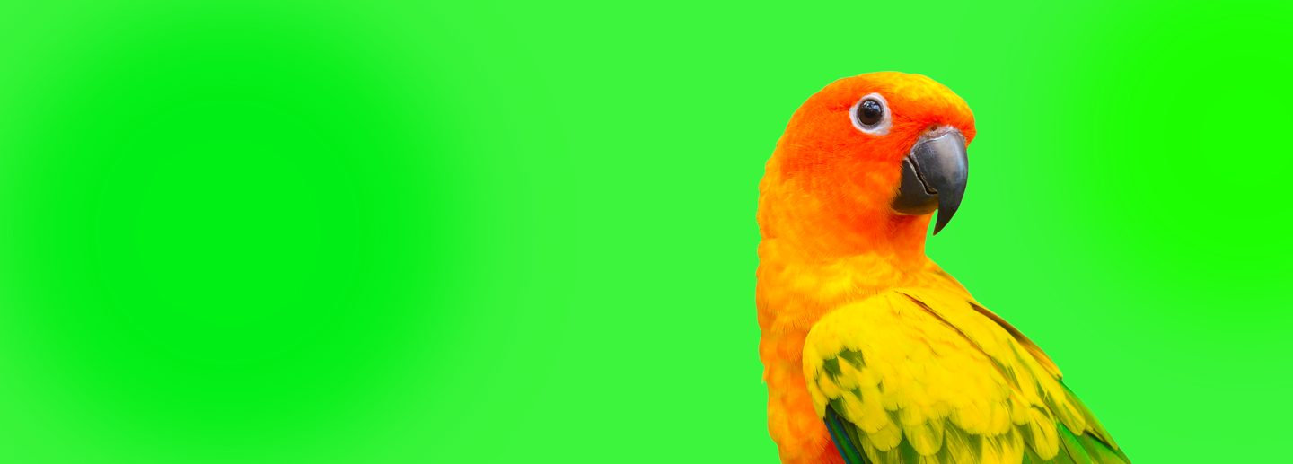 Hartz Hero Banner